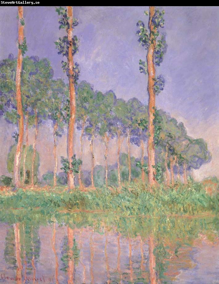 Claude Monet Poplars,Pink Effect
